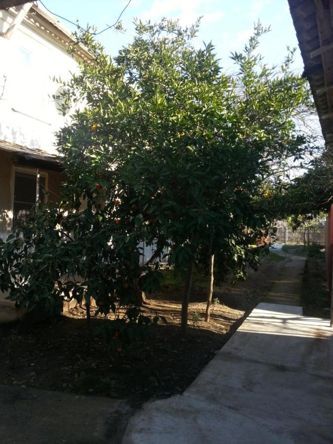 Guest House Yuzhnaya Palmira Pitsunda Exterior foto